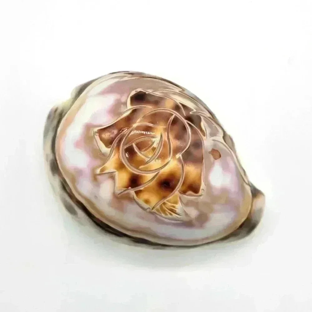 RARE Featuring Flower Hand Carved Sea Shell Beach Vacation Souvenir Glozy Small